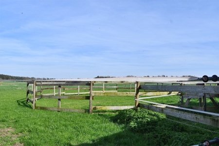 2427CF baden wuerttemberg, neresheim, wohnen mit pferden, haus mit pferdestall zu verkaufen