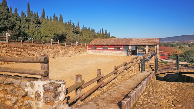 Andalusien, Arcos, Finca für Pferdeliebhaber zu verkaufen