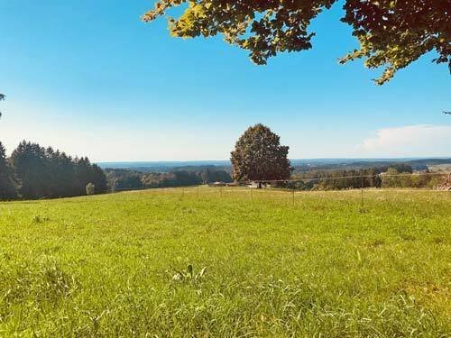 2436 Bayern, Amerang, Landhaus mit Pferdestall zu verkaufen