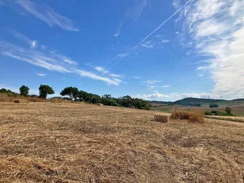 2447 andalusien, province cadiz, badalejos, finca mit 3 Hallen zu verkaufen