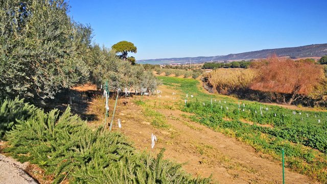 Andalusien, Arcos, Finca für Pferdeliebhaber zu verkaufen