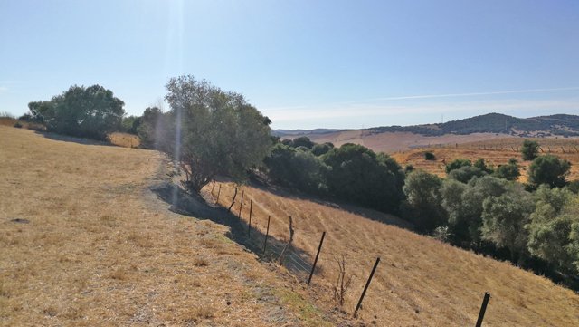 Andalusien, Vejer de la Frontera - Finca zum renovieren zu verkaufen