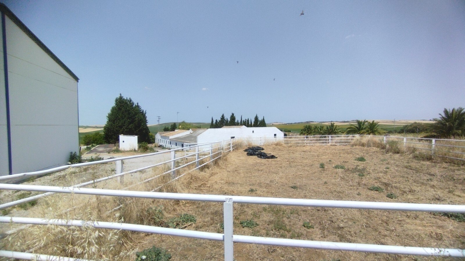 Ref2410 Andalusien, Provinz Cadiz, Bornos - Finca mit viel Land zu verkaufen