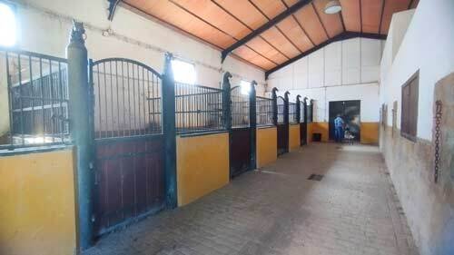 2440JL andalusien, arcos de la frontera, finca, pferdehaltung zu verkaufen