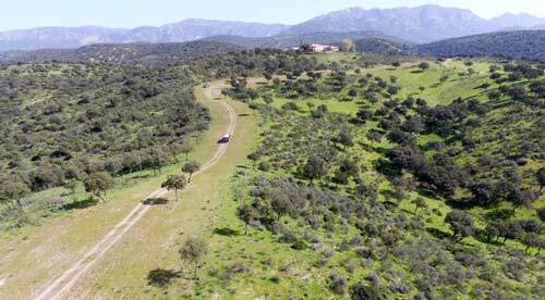 2503LM andalucia, provinzia jaen, andujar, coto de caza, cortijo, finca en venta