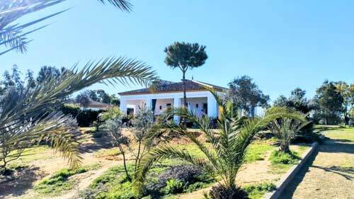 2420 andalucia, provincia huelva, la palma del condado, finca con 2 casas en venta