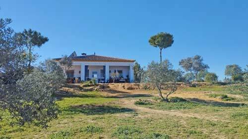 2420 andalucia, provincia huelva, la palma del condado, finca con 2 casas en venta