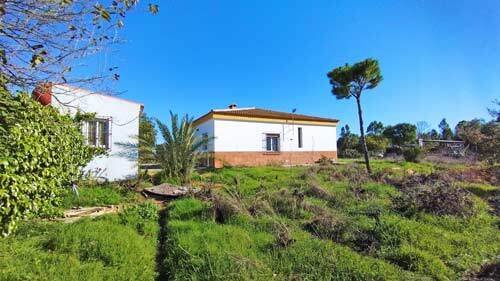 2420 andalucia, provincia huelva, la palma del condado, finca con 2 casas en venta