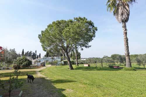 2511MW andalucia, costa de la luz, conil de la frontera, hotel rural, finca, en venta