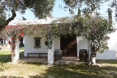 2511MW andalucia, costa de la luz, conil de la frontera, hotel rural, finca, en venta