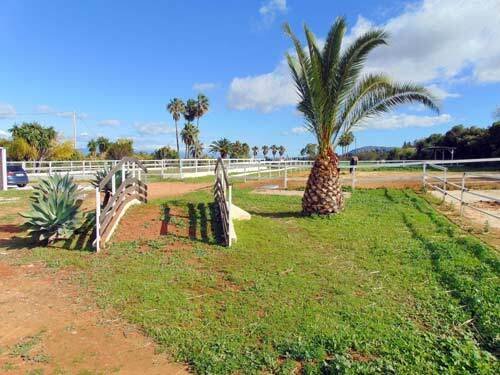 2506LO andalucia, malaga, alhaurin el grande, finca, cuadra de caballos en venta