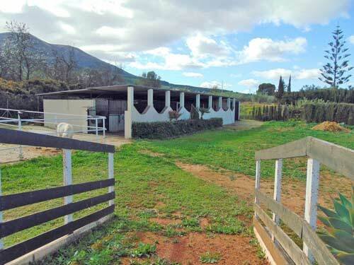 2506LO andalucia, malaga, alhaurin el grande, finca, cuadra de caballos en venta